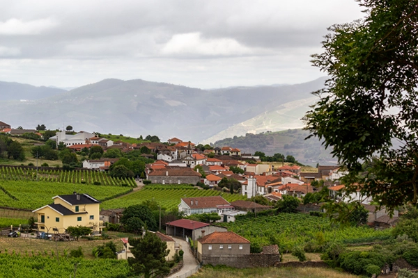 Ponto de Interesse - Aldeia Vinhateira de Provesende - Provesende| Sabrosa| Douro