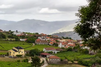 Ponto de Interesse - Aldeia Vinhateira de Provesende - Provesende| Sabrosa| Douro| Portugal