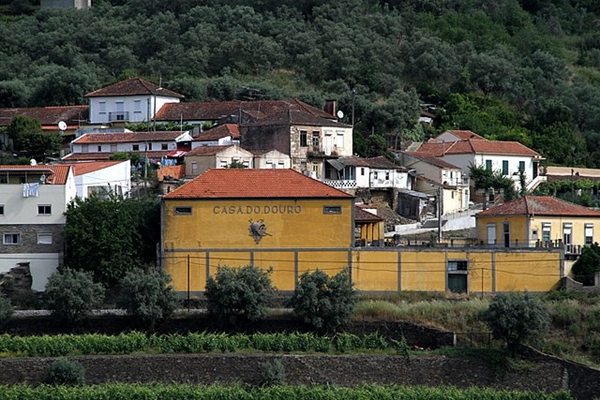 Ponto de Interesse - Casa do Douro - Peso da Régua| Peso da Régua| Douro