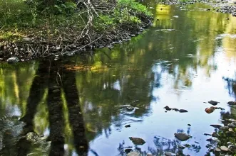 Local - Praia Fluvial Caldas de São Paulo - Penalva de Alva| Oliveira do Hospital| Região de Coimbra| Portugal