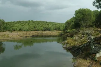 Local - Baldio das Ferrarias - Amareleja| Moura| Baixo Alentejo