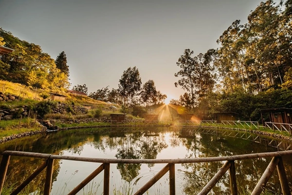 Point of Interest - Parque Ribeira Primeira - Santa Cruz| Santa Cruz| Região Autónoma da Madeira