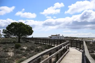 Local - Centro de Educação Ambiental de Marim - Quelfes| Olhão| Algarve