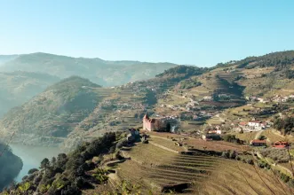 Ponto de Interesse - Casa da Vista Alegre - Barqueiros| Mesão Frio| Douro| Portugal