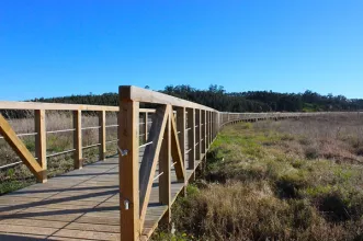 Point of Interest - Quinta do Ega - Vagos| Vagos| Região de Aveiro