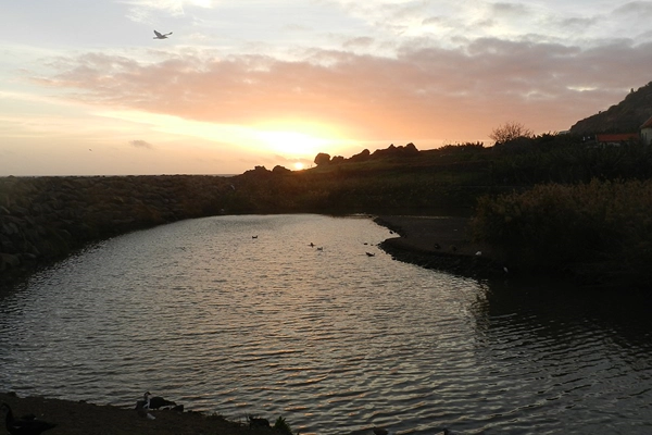 Local - Lagoa do Lugar de Baixo - Ponta do Sol| Região Autónoma da Madeira