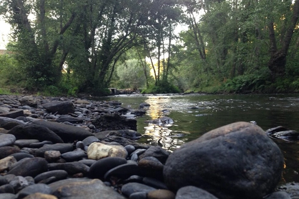 Local - Praia Fluvial de Quintas - Mirandela| Terras de Trás-os-Montes