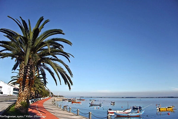 Local - Praia da Torreira - Murtosa| Região de Aveiro