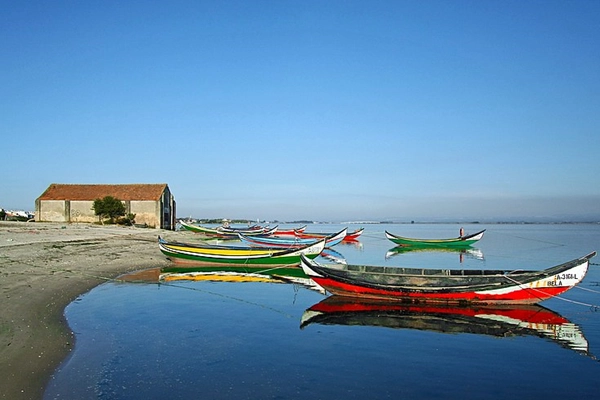 Point of Interest - Praia do Monte Branco - Murtosa| Região de Aveiro