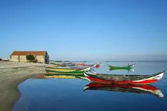 Point of Interest - Praia do Monte Branco - Murtosa| Região de Aveiro