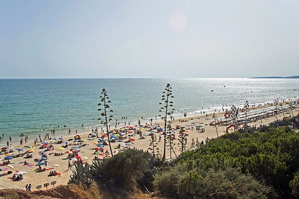 Local - Praia da Rocha Baixinha - Albufeira| Algarve