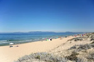 Local - Praia da Comporta - Grândola| Alentejo Litoral| Portugal