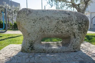 Ponto de Interesse - Berrão de Picote  - Picote| Miranda do Douro| Terras de Trás-os-Montes| Portugal