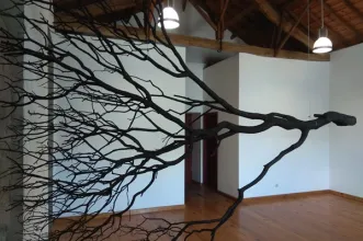 Point of Interest - Escola Primária Picote - Picote| Miranda do Douro| Terras de Trás-os-Montes