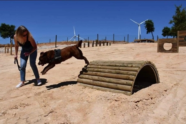 Local - Parque Canino do Ecoparque da Serra de São Julião - Carvoeira | União de Freguesias de Carvoeira e Carmões| Torres Vedras| Oeste