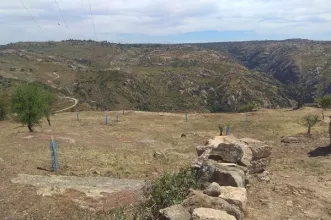 Ponto de Interesse - Hortas de Picote  - Picote | Miranda do Douro| Terras de Trás-os-Montes| Portugal