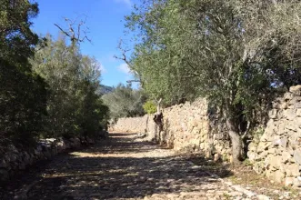 Ponto de Interesse -  Centro Explicativo e de Acolhimento da Calçadinha - São Brás de Alportel| São Brás de Alportel| Algarve