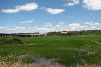 Local - Plantações de Arroz do Mondego - Alqueidão | JF Alqueidão| Figueira da Foz| Região de Coimbra| Portugal
