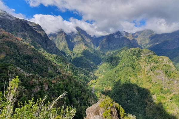 Local - Floresta Laurissilva da Madeira - Junta de Freguesia de São Roque do Faial | Santana| Região Autónoma da Madeira