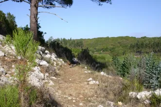 Local - Planalto das Cesaredas - Cesaredas | Municipio da Lourinhã| Lourinhã| Oeste