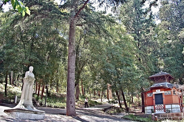 Local - Parque Silva Porto / Mata de Benfica - Benfica| Lisboa| Área Metropolitana de Lisboa