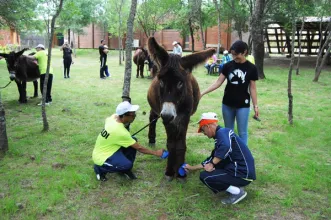 Local - Parque Ibérico de Natureza e Aventura – PINTA - Vimioso| Vimioso| Terras de Trás-os-Montes