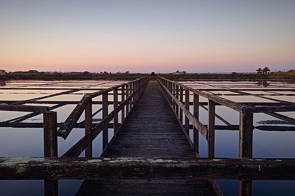 Local - Salinas de Aveiro - Aveiro| Aveiro| Região de Aveiro