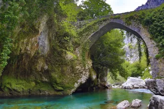 Local - Ponte La Jaya - Cabrales| Asturias