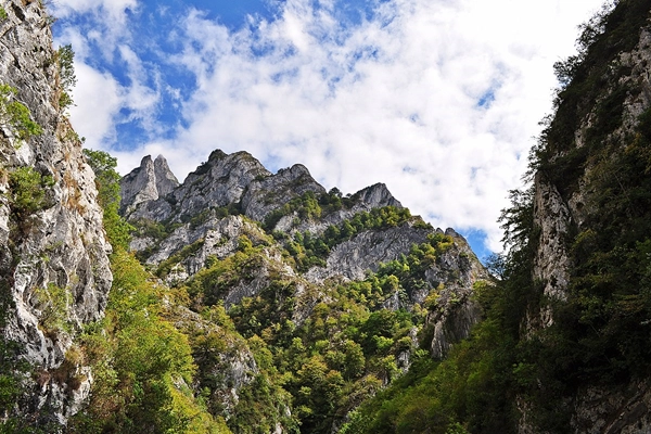 Local - Desfiladeiro de los Beyos - Amieva| Asturias