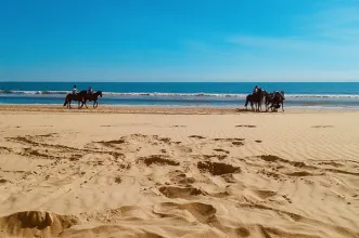 Local - Praia Matalascañas - Almonte| Huelva