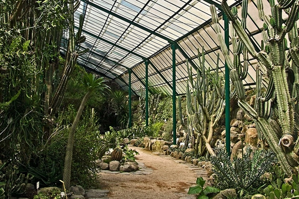 Point of Interest - Estufa Fria - Avenidas Novas| Lisboa| Área Metropolitana de Lisboa