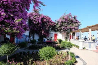 Local - Jardim Júlio de Castilho - Santa Maria Maior| Lisboa| Área Metropolitana de Lisboa