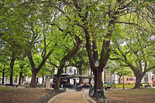 Local - Jardim das Amoreiras (Jardim Marcelino de Mesquita) - Santo António| Lisboa| Área Metropolitana de Lisboa