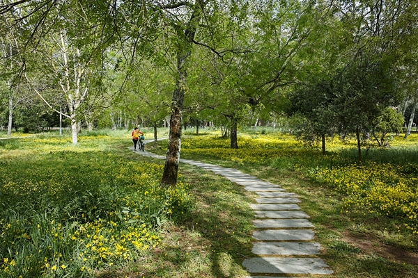 Local - Parque da Quinta das Conchas e dos Lilases - Lumiar| Lisboa| Área Metropolitana de Lisboa