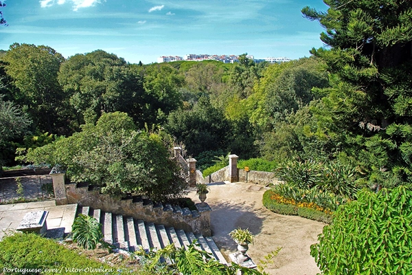 Local - Parque Botânico do Monteiro-Mor - Lumiar| Lisboa| Área Metropolitana de Lisboa