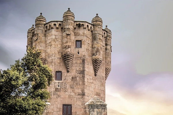 Local - Torre del Clavero - Salamanca| Salamanca