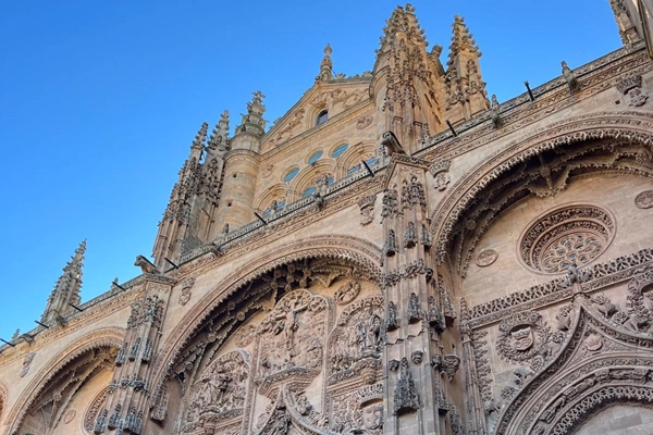 Local - Catedral Nova - Salamanca| Salamanca