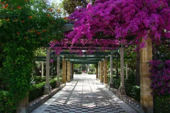 Local - Jardins da Alameda Apodaca - Cádiz| Cádiz
