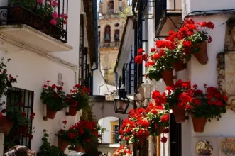 Local - Calleja de las Flores - Córdoba| Córdoba| España