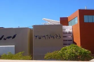 Local - Aquário de Zaragoza - Zaragoza| Zaragoza| España