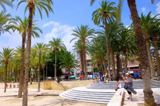 Local - Parque de Elche - Benidorm| Alicante/Alacant| España