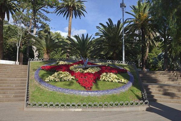 Local - Parque García Sanabria  - Santa Cruz de Tenerife| Santa Cruz de Tenerife