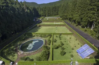 Local - Reserva Florestal de Recreio da Cancela do Cinzeiro -  Caminho Florestal – Pedreira Estrada Regional| Nordeste| Região Autónoma dos Açores