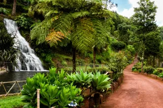 Local - Jardim da Ribeira do Guilherme -  Estrada Regional (entre a Vila do Nordeste e a Lomba da Fazenda)| Nordeste| Região Autónoma dos Açores| Portugal