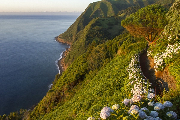 Local - Ponta do Sossego -  Estrada Regional, Pedreira| Nordeste| Região Autónoma dos Açores