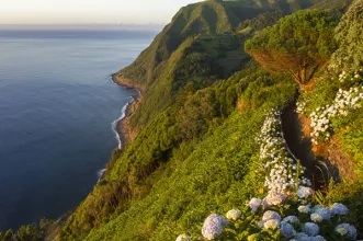 Local - Ponta do Sossego -  Estrada Regional, Pedreira| Nordeste| Região Autónoma dos Açores| Portugal