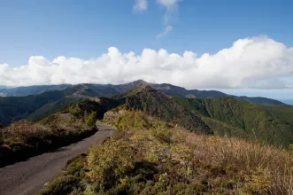 Local - Pico do Bartolomeu -  Estrada Regional, Pedreira| Nordeste| Região Autónoma dos Açores| Portugal