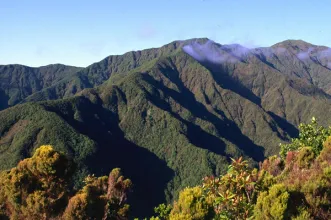 Local - Serra da Tronqueira -  Estrada da Tronqueira| Nordeste| Região Autónoma dos Açores