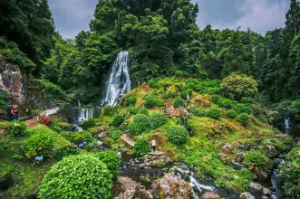 Local - Parque da Ribeira dos Caldeirões - Estrada Regional, Achada| Nordeste| Região Autónoma dos Açores| Portugal