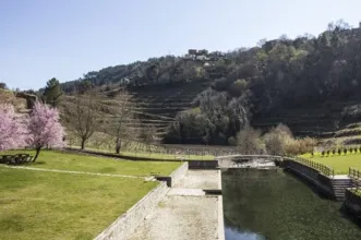 Ponto de Interesse - Praia Fluvial de Fornelos  -  União de Freguesias de Louredo e Fornelos | Santa Marta de Penaguião| Douro